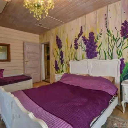 Plaza Jacuzzi Sauna * Skorupki